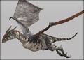Picture for song 'Yes, They Fly' by artist 'Sanctioned Interbretion'