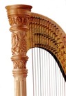 Picture for song 'Harp Joint' by artist 'Sandman Productions (US)'