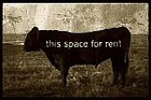 Picture for song 'Space For Rent' by artist 'Scuzzo'