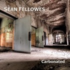 Picture for song '05_Here_I_Am' by artist 'Sean Fellowes'