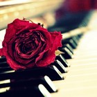 Picture for song 'Adorable' by artist 'Sean Original'
