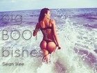Picture for song 'Big Booty Bishes' by artist 'Sean Vee'