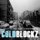 Picture for song 'Cold Blockz' by artist 'Self Serve Entertainment'
