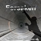 Picture for song 'Forsaken feat. Paul Dempsey' by artist 'Serious-Music (Germany)'