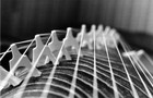 Picture for song 'Koto.mp3' by artist 'Shepheard'