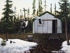 Picture for song 'Wild Game Feat. Gitchie Cheechoo' by artist 'Shibastik'