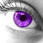 Picture for song 'Addict. (First Track with Vocals!!)' by artist 'Shotgun Partisan'