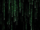 Picture for song 'Treacherous Matrix' by artist 'Sibyll Sewarte'