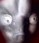 Picture for song 'Singular' by artist 'SjCongo'