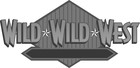 Picture for song 'WILD WILD WEST' by artist 'SKILL DISTRICT'