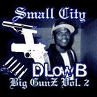 Picture for song 'D-LOW B GHETTO LIFE' by artist 'Small City Records'