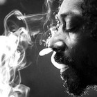 Picture for song '*#1 HIT* I Stay High w/Hook (FREE DL)' by artist 'Sno Storm Productions (FKA Sno State Records)'