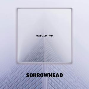 Picture for song 'excuse me' by artist 'srwhd'
