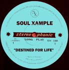 Picture for song '**Destined For Life** (No Samples)' by artist 'Soul Xample'