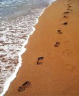 Picture for song 'Footprints In The Sand' by artist 'SPD Music Productions'