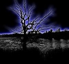 Picture for song 'Shadows Lake' by artist 'Speak Words Speak'