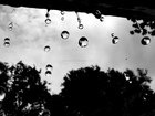 Picture for song 'RAINDROPS' by artist 'Sprayyy'