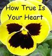 Picture for song 'HOW TRUE IS YOUR HEART - Dodie' by artist 'Spud Martin sample'