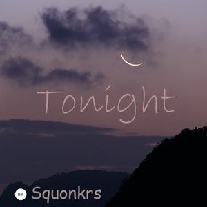 Picture for song 'Tonight' by artist 'Squonkrs'
