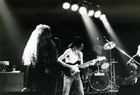 Picture for song 'Money Tree (LIVE)' by artist 'Staghound-X'