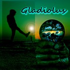 Picture for song 'Gladiolus' by artist 'Stereo2tape'