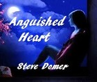 Picture for song 'Anguished Heart' by artist 'Steve Domer'