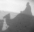 Picture for song 'Sahara' by artist 'Stevie H'