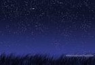 Picture for song 'Stiles T feat Jonny B - Tonite' by artist 'Stiles T'