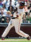 Picture for song 'HE'S BARRY BONDS (and you're not)' by artist 'Stormin Norman the nag'