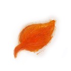 Picture for song 'Autumn breeze through Autumn trees' by artist 'Strawberry Nightmares'