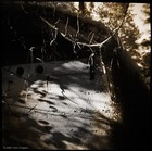 Picture for song 'be careful' by artist 'streetleaks'