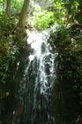 Picture for song 'Freshness' by artist 'Subterranean Gatherings'