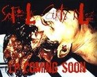 Picture for song 'BURNMUTHAFXCKABURN FMRMX' by artist 'Suffolk County Killaz'