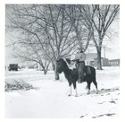 Picture for song '09 SMALL-TIME COUNTRY STAR' by artist 'SugarRiverCountry Songwriters Network'