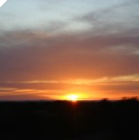 Picture for song 'Simple Song' by artist 'Sunfinger'