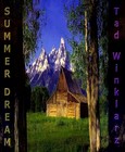 Picture for song 'Summer Dream' by artist 'Tad Winklarz'