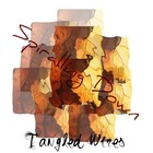 Picture for song 'Spiralling Down' by artist 'Tangled Wires'