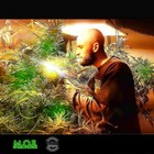 Picture for song 'Life is a Wheel - DiesmAe' by artist 'ThA SoldierZ FlaG Mixtape'