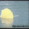Picture for song 'The Real You' by artist 'The Accentrix'