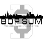 Picture for song 'The AoN DiR Agency - Bop Sum' by artist 'The AoN DiR Agency'