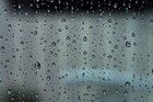 Picture for song 'Rain On Your Window' by artist 'the bunkbeds'