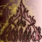 Picture for song 'Supernatural Mojo' by artist 'The Fireseeds'