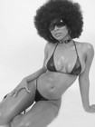 Picture for song 'Real Type n***' by artist 'The Impact Players'
