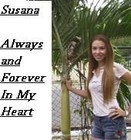 Picture for song 'Somewhere In The Distance (Guardian Angel Of Love)' by artist 'The Jay Dyall Project'