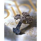 Picture for song '20 Prophets Call.mp3' by artist 'The Living Word'