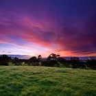 Picture for song 'Over The Rainbow | R&B (.99 Demo DL)' by artist 'The Monsters Producers'