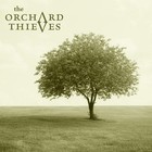 Picture for song 'Feeling Better' by artist 'The Orchard Thieves'