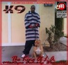 Picture for song 'STRAIGHT TO THE BANK' by artist 'THE REAL K9'