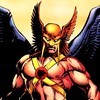 Picture for song 'The Cry of the Hawkman' by artist 'The Smivets'