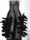 Picture for song 'Nailbomb' by artist 'The Sweet Zeros'